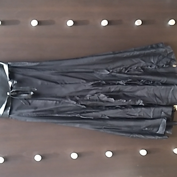 CCO | ADRIENNE VITTADINI | Black Sheer Maxi Skirt Size 0 =A-Line High Waist - Picture 8 of 15